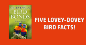 description for Read 5 lovey-dovey Aussie bird facts